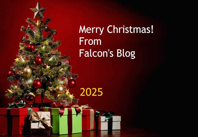 Merry Christmas 2025!