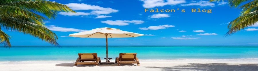 October 2013 Entries - Falcon's Blog